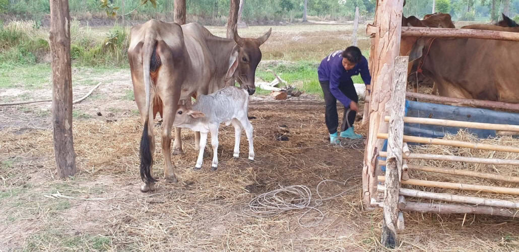Kanom Jeen: een reis door de smaken van Isaan