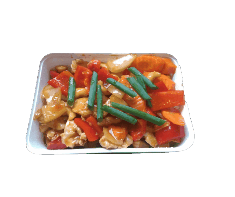 Vers gevarieerd Aziatisch gerecht met groenten en kip, klaar om te serveren.